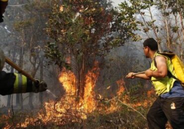 Incendio Forestal en Quispicanchi Cusco Intenta ser Controlado