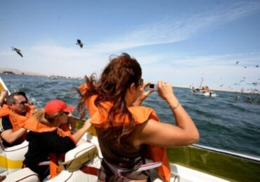 Islas Ballestas y Paracas Destinos Naturales más Visitados en el Fin de Semana Largo