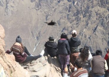 Arequipa: 19,000 Turistas Visitaron Valle del Colca en Mayo