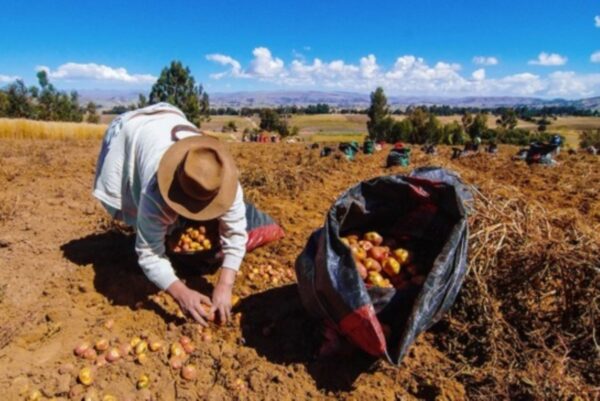 AHORA Perú : Alza de Precios de Alimentos es Incierto para los Restaurantes
