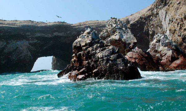 Paracas no Recupera el Flujo Turístico Pese a Desbloqueo de Vías
