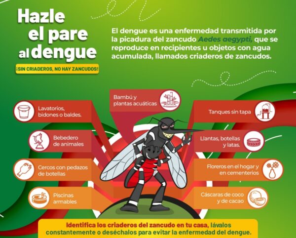 Tumbes: Autoridades Adoptan Medidas para Evitar Rebrote de Dengue