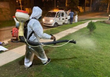 Cusco: Reportan Primeras Muertes por Dengue