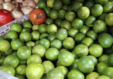 Al 80% Abastecimiento de Limón en Mercados Mayoristas de Lima