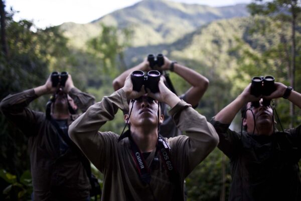 «October Big Day 2023»: Perú es Líder Mundial en Observación de Aves