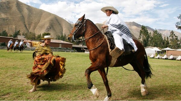 Concurso Nacional del Caballo Peruano de Paso se realizará del 14 AL 21 de abril