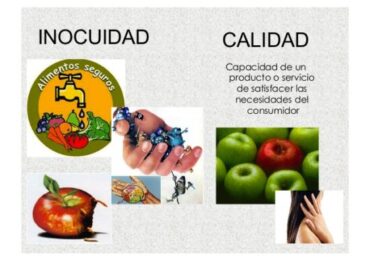 Mayoría de Restaurantes Adolecen en el Manejo de las BPM