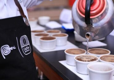 Plan Copesco Nacional Inaugura Obra para Impulsar la Ruta del Café en Villa Rica