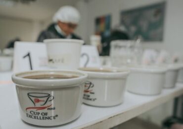 Cusco Organiza Feria de Cafés Especiales