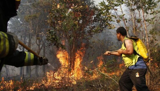 Incendio Forestal en Quispicanchi Cusco Intenta ser Controlado