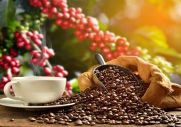 Café Peruano en FICAFÉ Ayacucho 2022