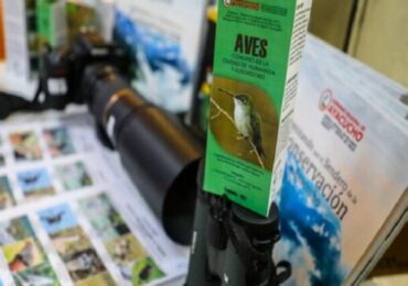 Avistamiento de Aves: Ayacucho Participará en el Global Bid Day 2022
