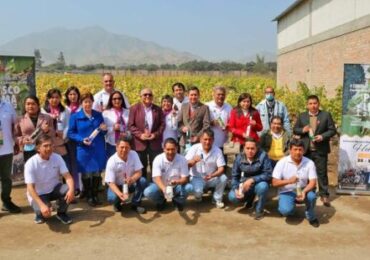 V Congreso Regional del Pisco Lima