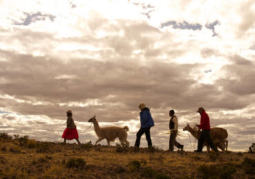 Valle del Colca Recibió 6,486 Visitantes por Feriado Largo
