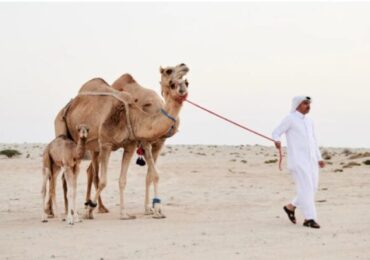 El Turismo en Doha por el Mundial de Qatar