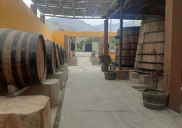 Ica se Prepara para Celebrar la Vendimia 2023