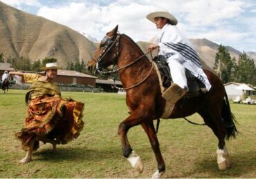 Concurso Nacional del Caballo Peruano de Paso se realizará del 14 AL 21 de abril