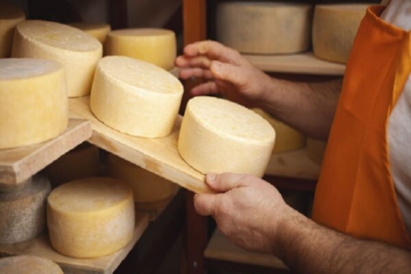 Declaran el 4 viernes de mayo Día del Queso Peruano