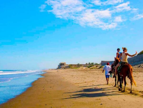 Playa Los Órganos: TOP 100 de los Premios Green Destinations Story Awards 2024