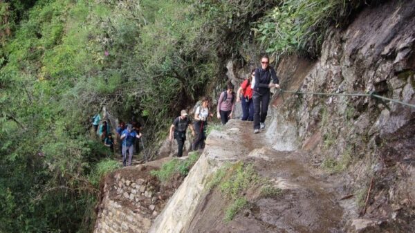 Turistas Recorrieron Waynapicchu tras Reapertura