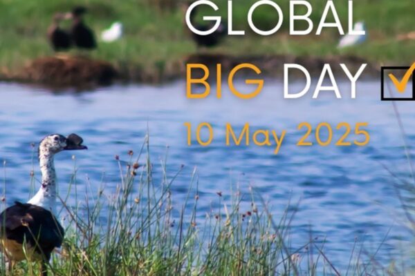 Global Big Day 2025: Perú Consolida Posición como Potencia Mundial
