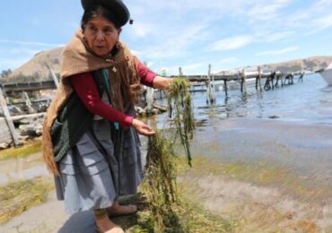 Lago Titicaca: Piden Priorizar la Descontaminación para Fortalecer el Turismo