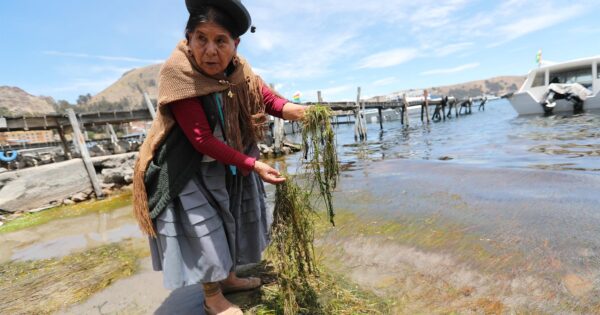 Lago Titicaca: Piden Priorizar la Descontaminación para Fortalecer el Turismo