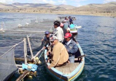 Lancheros Demanda Mayor Promoción de Islas del Titicaca por Caída del Turismo