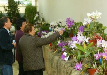 Festival de la Orquídea en Moyobamba