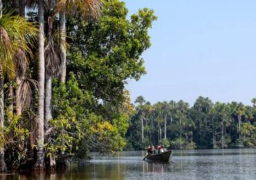 Aprueban Plan Maestro para la Reserva Nacional de Tambopata