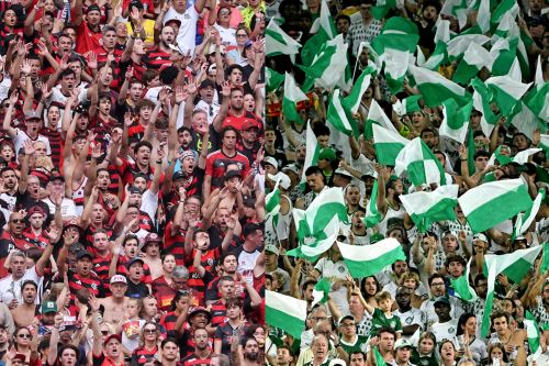 Perfil Actualizado del Visitante Brasileño que llegará al Perú