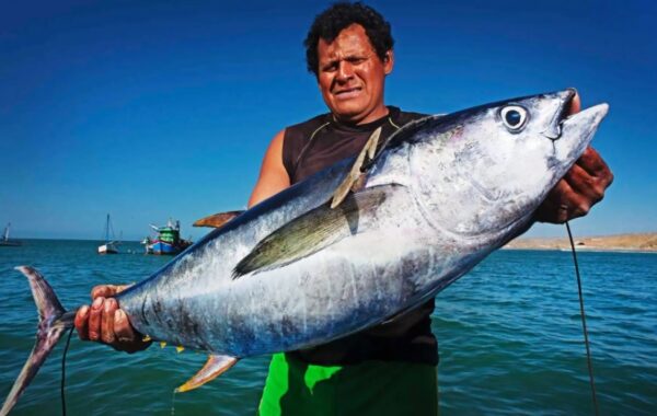 Potenciarán Actividades del Turismo Vinculadas al Surf y la Pesca Artesanal