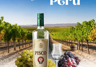 Indecopi presenta publicación digital “Pisco, la Primera Denominación de Origen del Perú” 