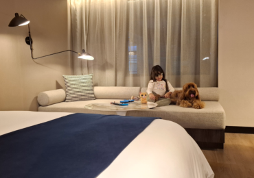 Hoteles dog friendly: cómo está cambiando la experiencia de hospedaje en el Perú